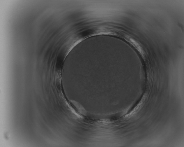 X0000093491377200710121457