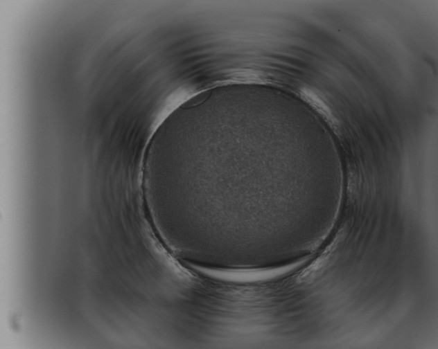 X0000093491378200710121457