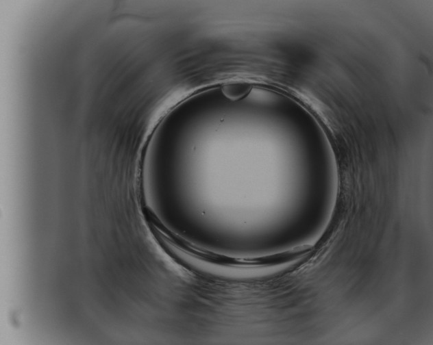 X0000093491379200710121457