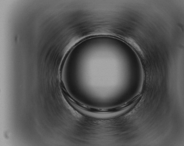 X0000093491380200710121457