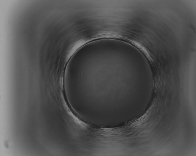 X0000093491383200710121457
