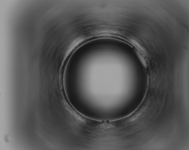 X0000093491384200710121457