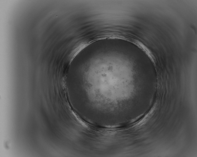 X0000093491385200710121457
