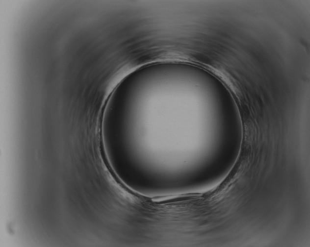 X0000093491387200710121457
