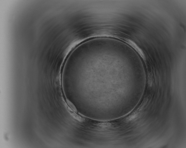 X0000093491388200710121457