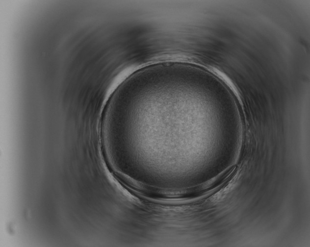 X0000093491389200710121457