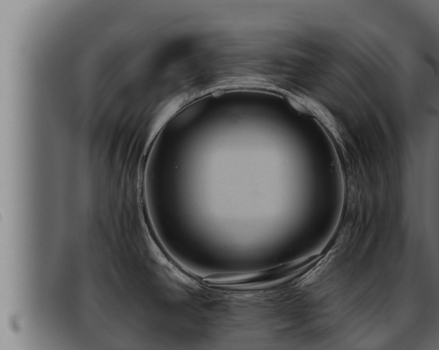 X0000093491390200710121457