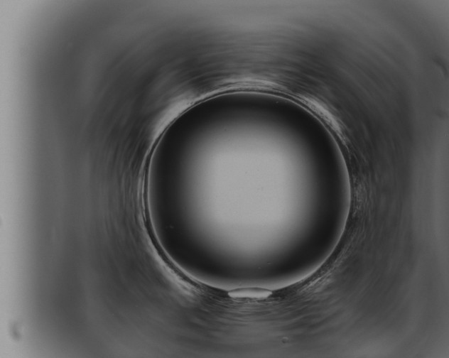X0000093491391200710121457