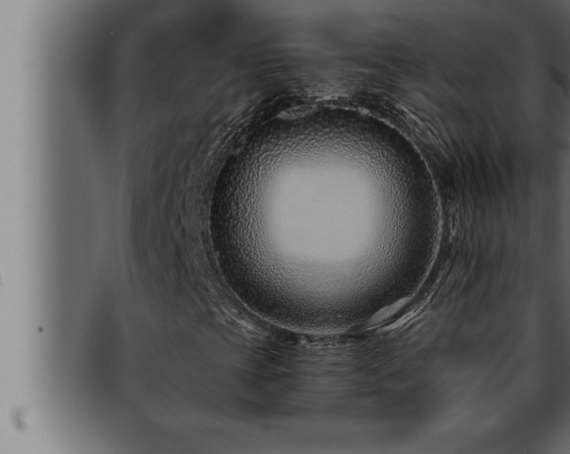 X0000093491393200710121457