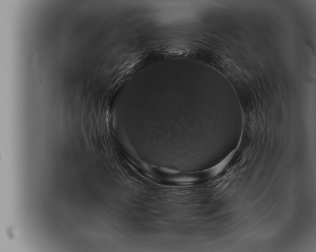 X0000093491394200710121457