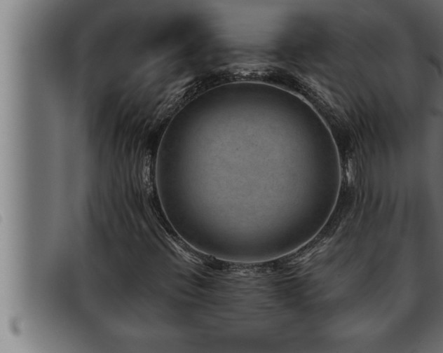 X0000093491396200710121457