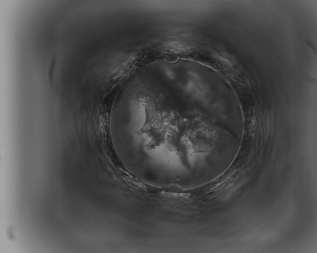 X0000093491397200710121457