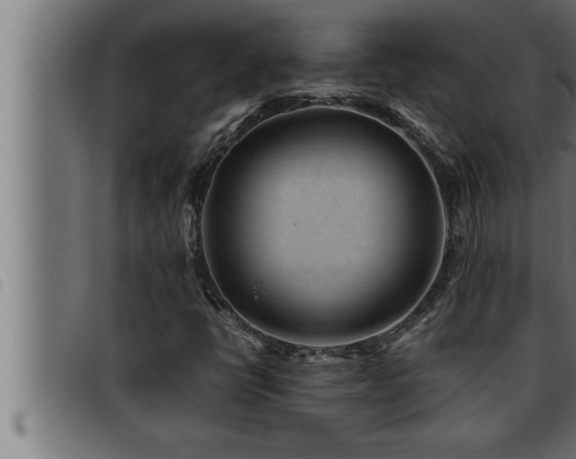 X0000093491398200710121457