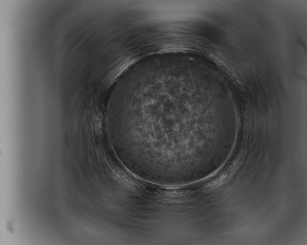 X0000093491401200710121457