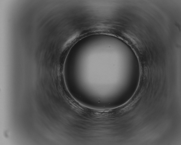 X0000093491403200710121457