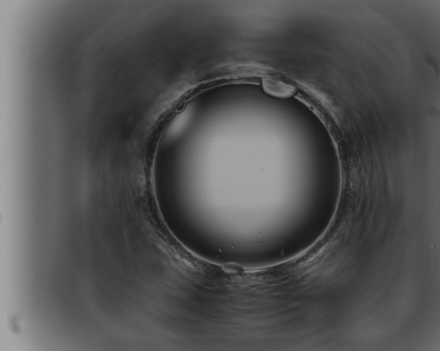 X0000093491407200710121457