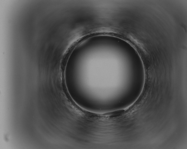 X0000093491408200710121457