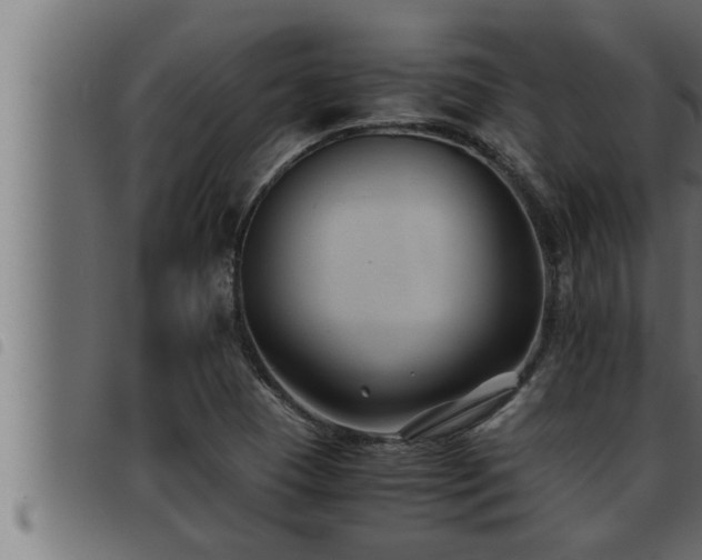 X0000093491409200710121457
