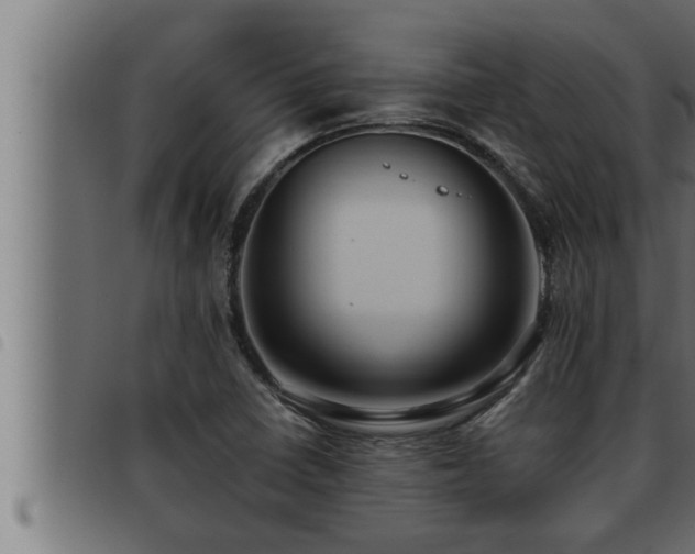 X0000093491410200710121457