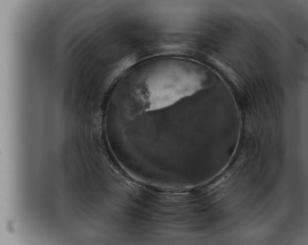 X0000093491411200710121457