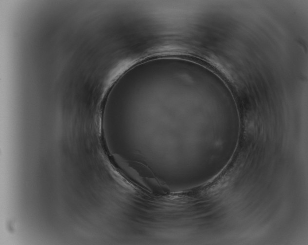 X0000093491413200710121457