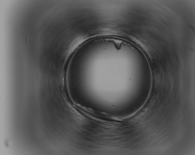 X0000093491415200710121457