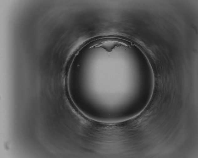 X0000093491416200710121457