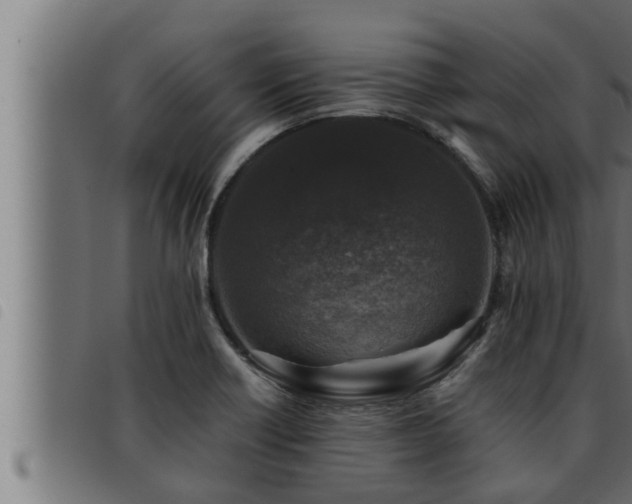 X0000093491418200710121457