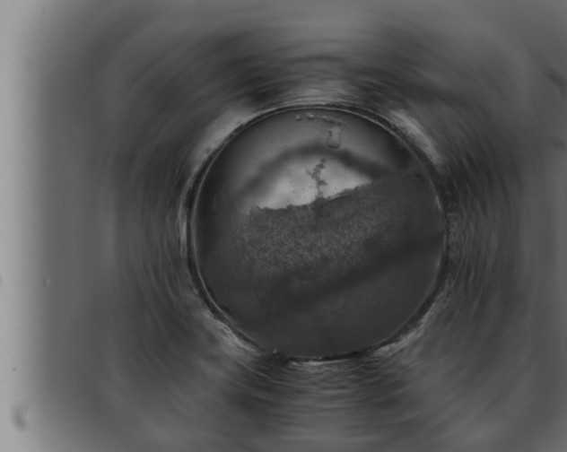 X0000093491419200710121457
