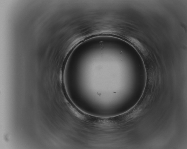 X0000093491420200710121457