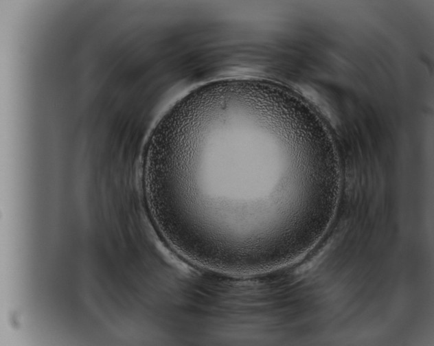 X0000093491421200710121457