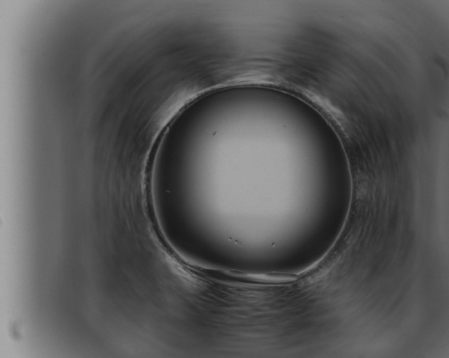 X0000093491423200710121457