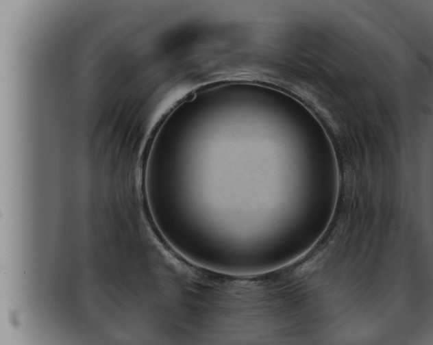 X0000093491424200710121457