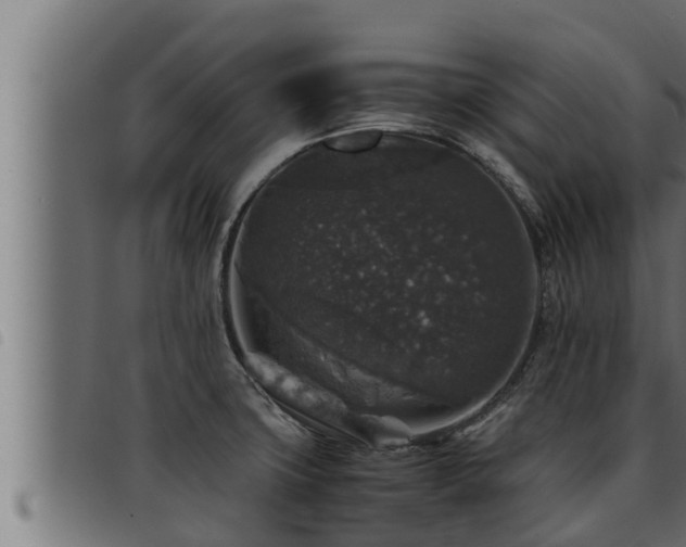 X0000093491427200710121457