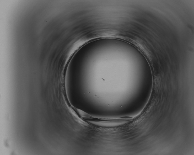 X0000093491432200710121457