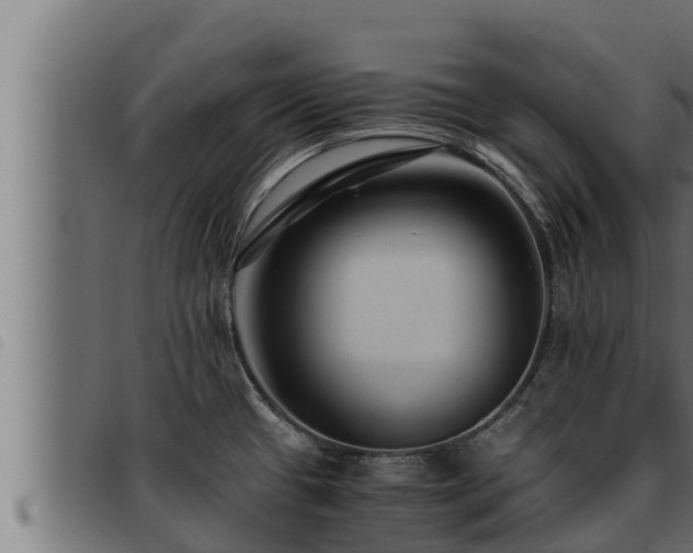 X0000093491433200710121457