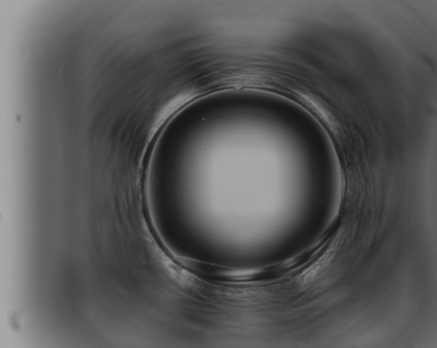 X0000093491434200710121457