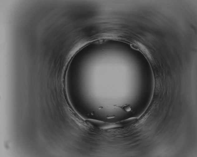 X0000093491435200710121457
