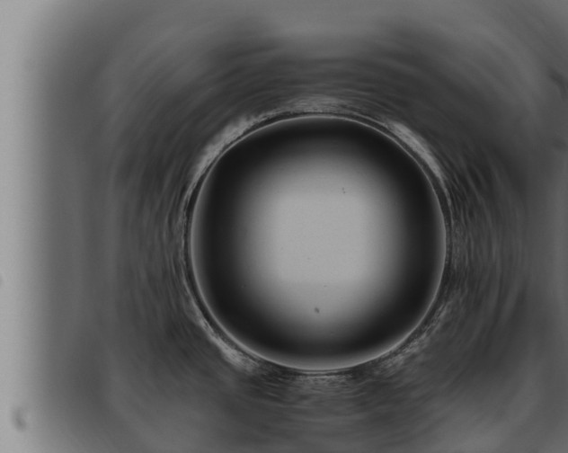 X0000093491437200710121457