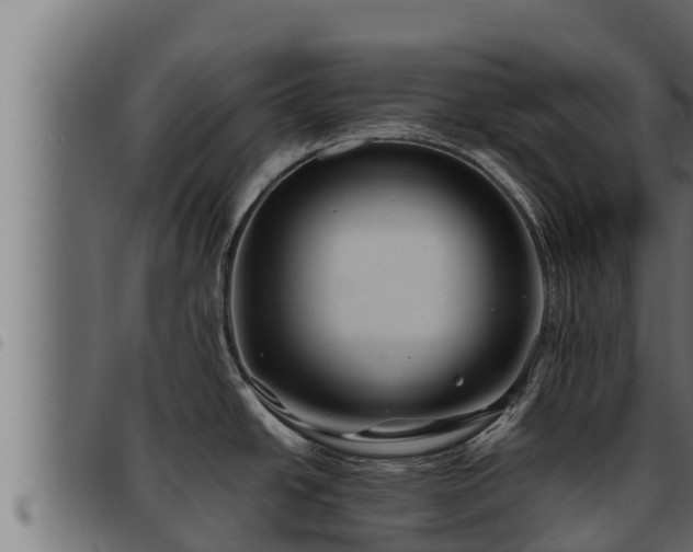 X0000093491438200710121457