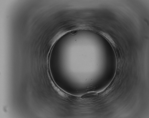 X0000093491439200710121457