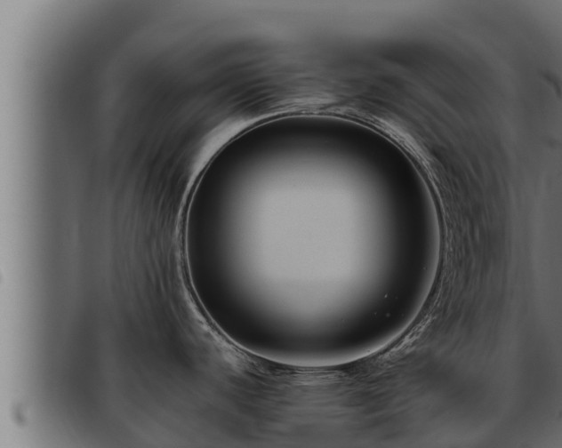 X0000093491440200710121457