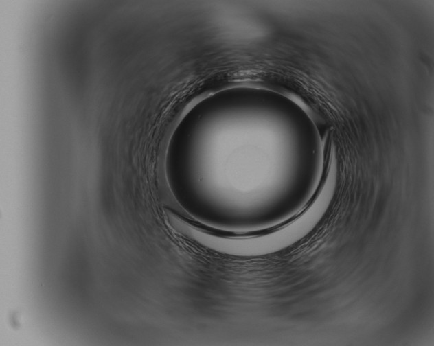 X0000093491441200710121457