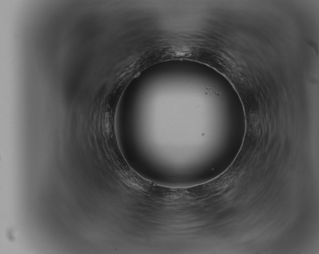 X0000093491442200710121457