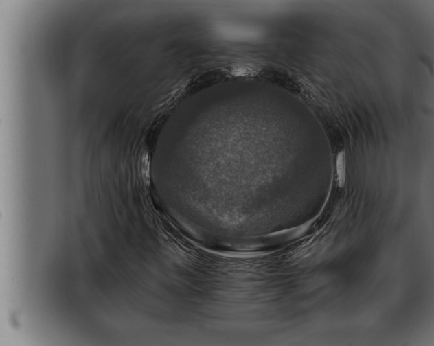 X0000093491443200710121457
