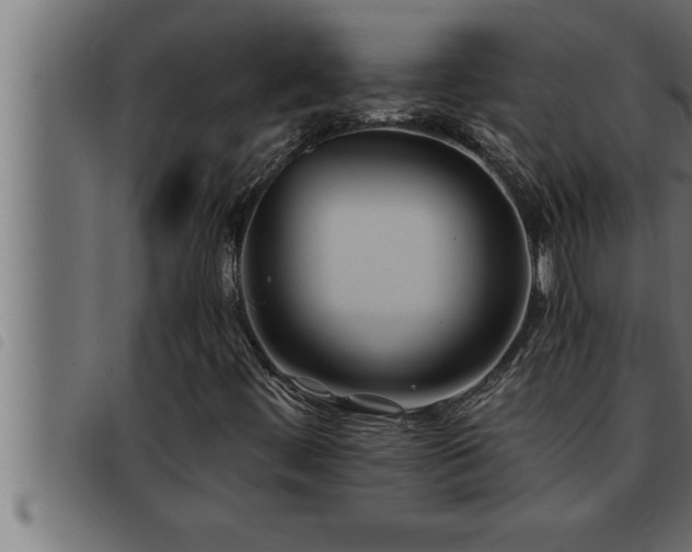 X0000093491444200710121457