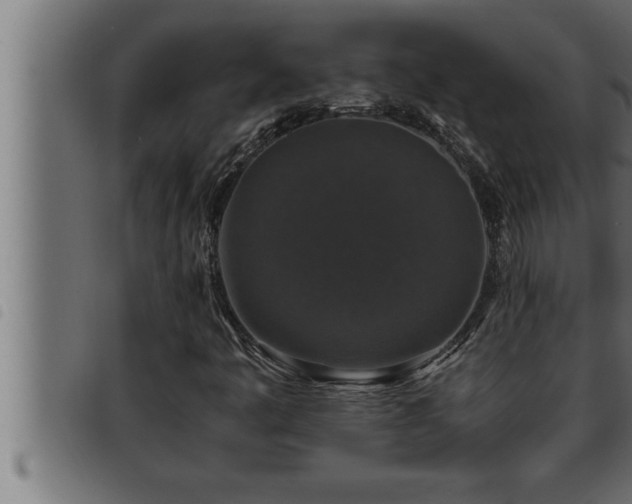 X0000093491445200710121457