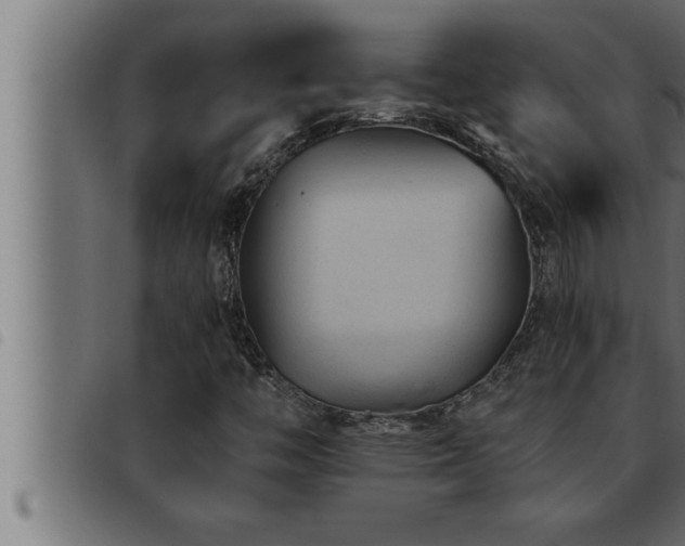 X0000093491446200710121457
