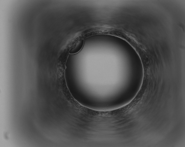 X0000093491447200710121457