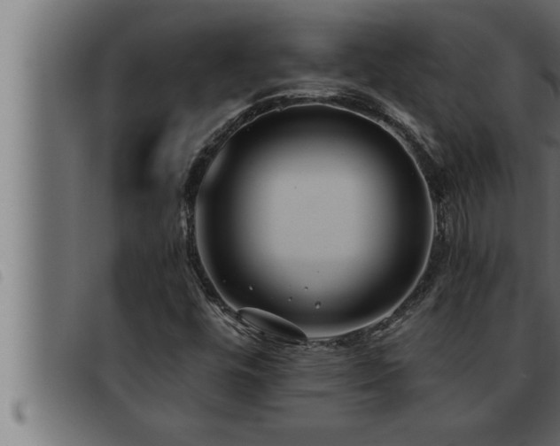 X0000093491448200710121457